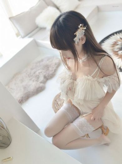 冬眠的熊先生动漫完整观看