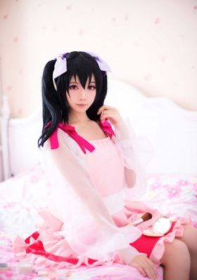 女士的法则电视剧在线观看