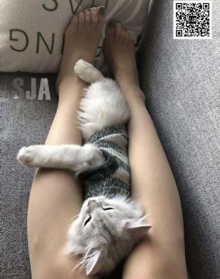 成品影视app开发