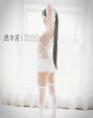 变形金刚2高清在线播放免费观看