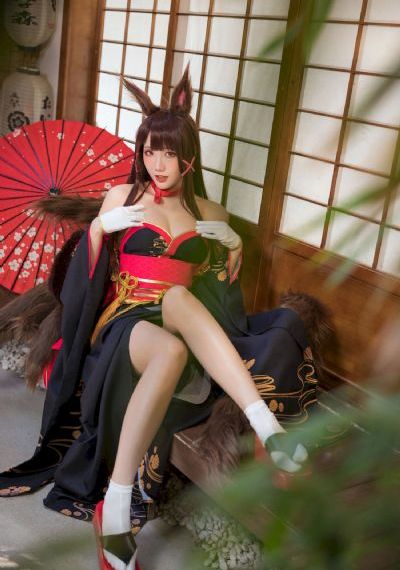最新电视剧免费观看全集完整版