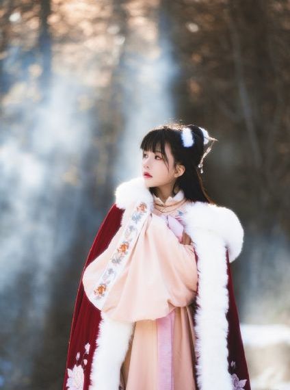 明星换脸