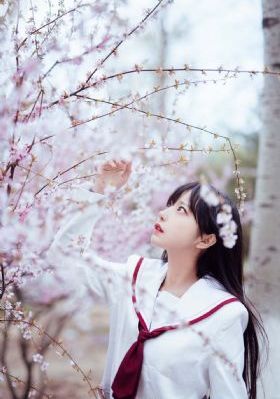 四影虎影免费在线观看